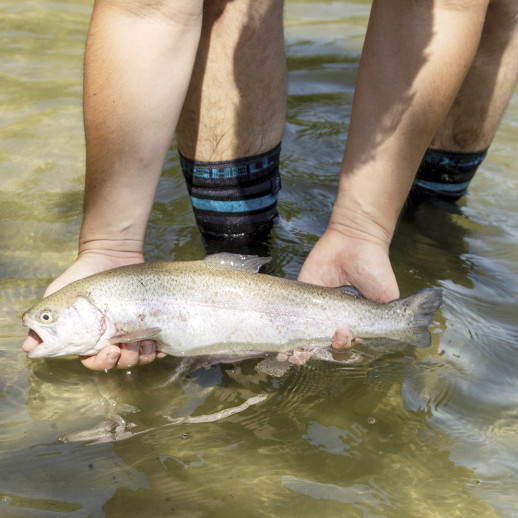 Водонепроникні шкарпетки DexShell Ultra Dri Sports Socks DS625W-ABS S (36-38)