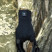 Водонепроникні рукавички DexShell Ultralite Gloves, DG368TS-HTBM (M)