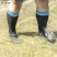 Водонепроникні гетри Dexshell Wading Green DS630WM M (39-42)